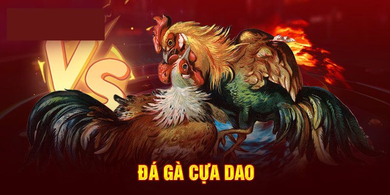 Luật chơi đá gà cựa dao