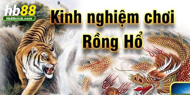 Cách chơi rồng hổ